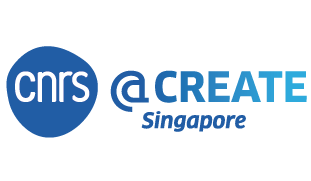 [SINGAPOUR] le CNRS ouvre CNRS@Create Ltd, sa première filiale à l’étranger